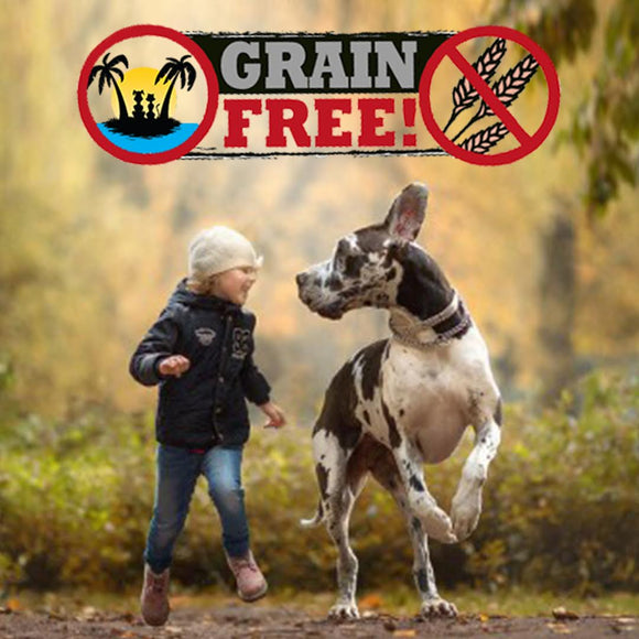 Grain Free Dog Food - Is it good, Is it bad - Should you stop?