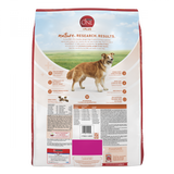 Purina ONE SmartBlend Healthy Weight Turkey Formula Dry Dog Food