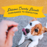 Natural Balance Rewards Crunchy Biscuits With Real Duck Dog Treats