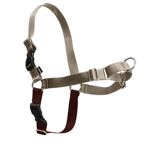 PetSafe Easy Walk Harness Large Fawn