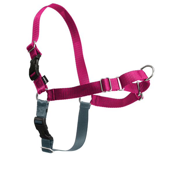 PetSafe Easy Walk Harness Medium / Large Raspberry