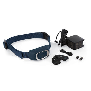 PetSafe Smart Phone Dog Remote Trainer Blue 2.75" x 1.58" x 1.38"