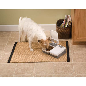 PetSafe 2 Meal Pet Feeder Gray